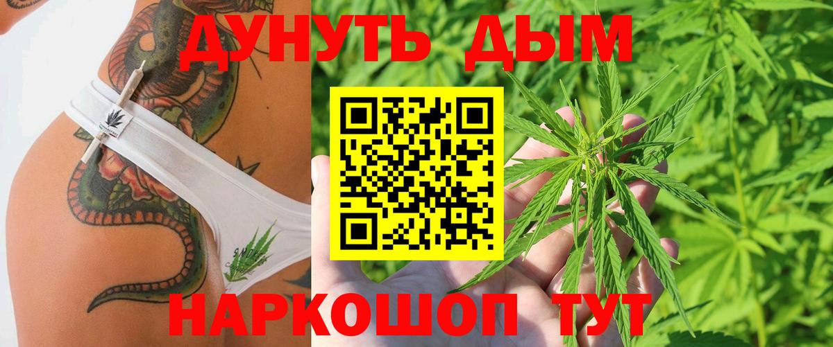 Канабис сатива Абинск